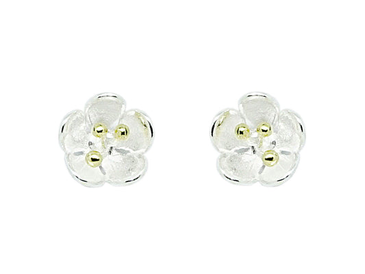 Brushed Sterling Silver and Gold Plated Studs